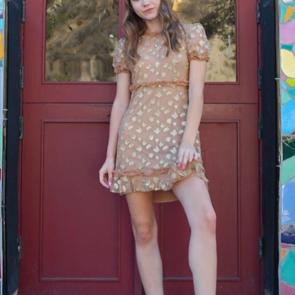 For Love and Lemons Golden Garden Tulle Mini Dress